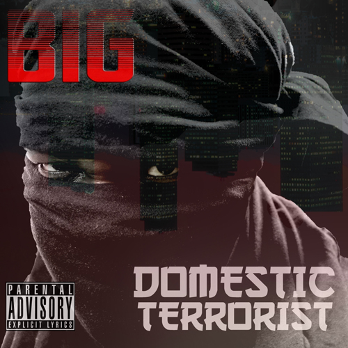 domestic terrorist cover Low-Res